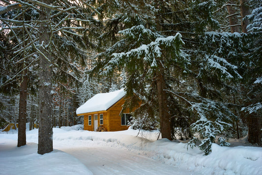 Building an Off-Grid Cabin in the Forest