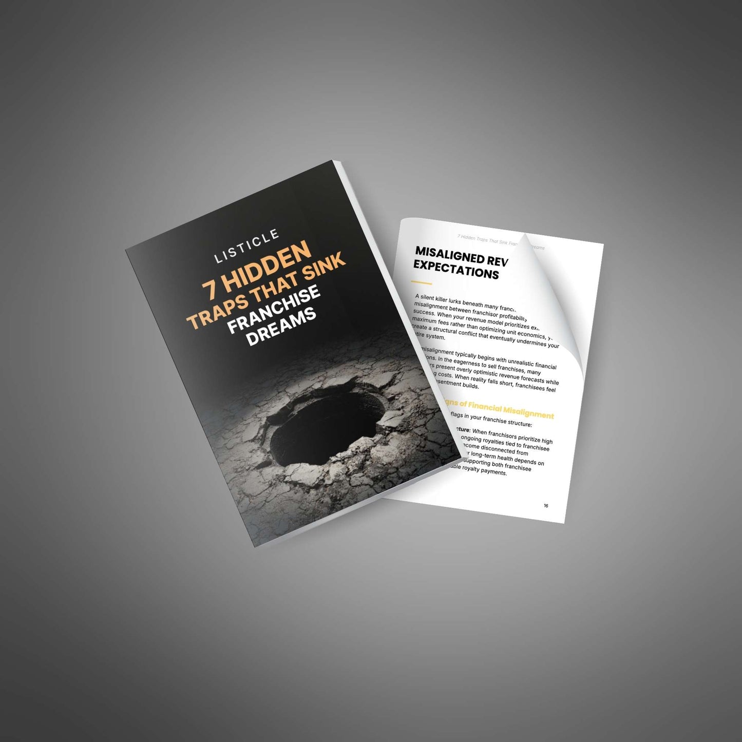 How to Franchise Your Business - Ultimate Bundle